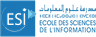 ESI - Ecole des Sciences de l'Information logo